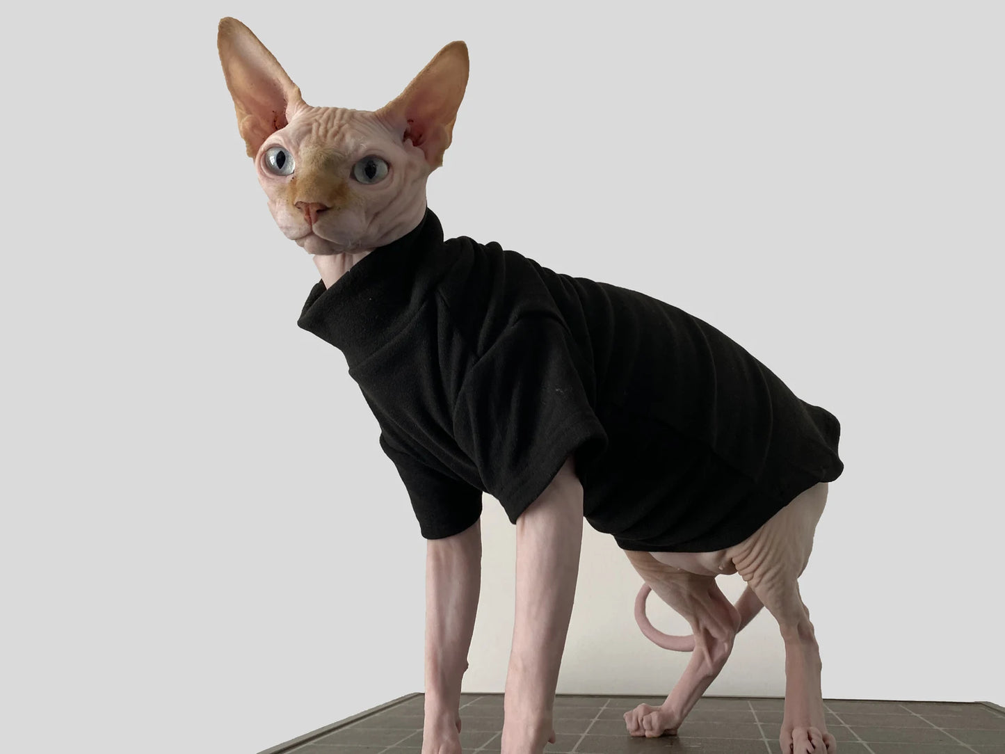 Hairless Cat Clothes – Soft Cuddly Vests for Sphynx, Devon & Kittens