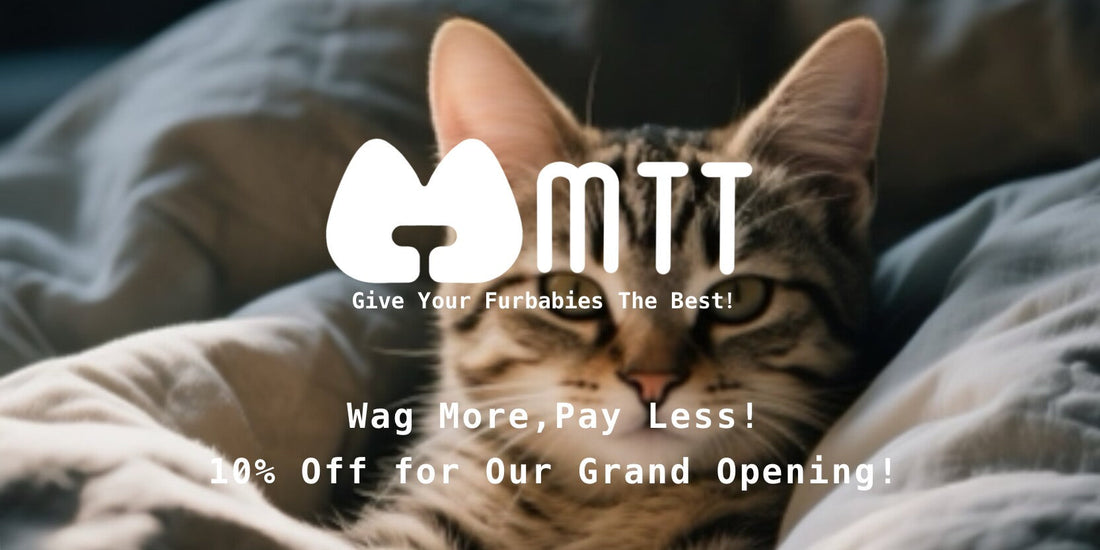 Wag More, Pay Less! 10% Off for Our Grand Opening!
