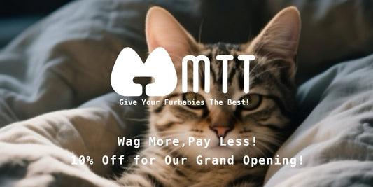 Wag More, Pay Less! 10% Off for Our Grand Opening!