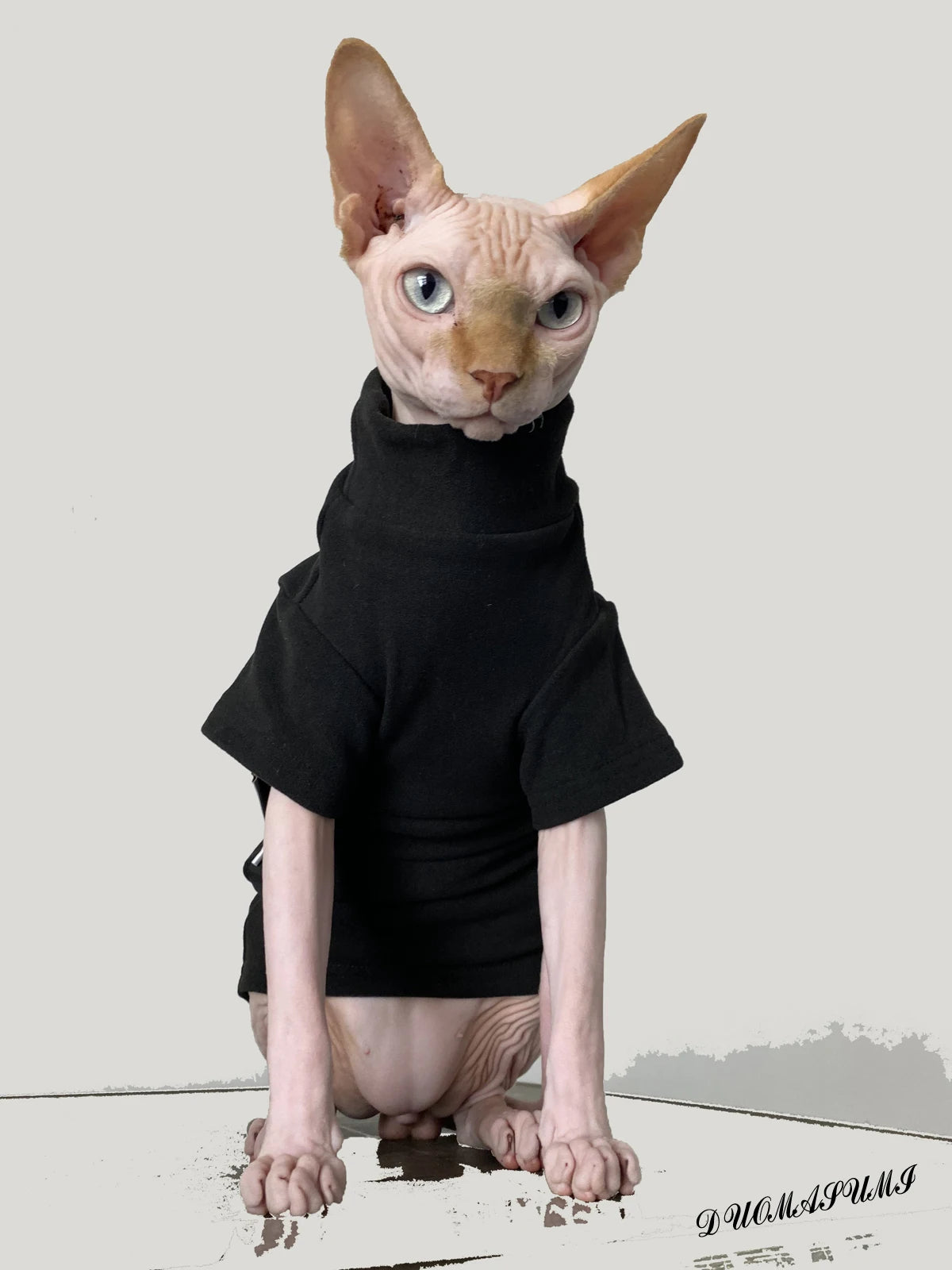 Hairless Cat Clothes – Soft Cuddly Vests for Sphynx, Devon & Kittens