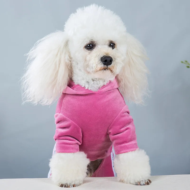 Wooly Wonder Jumper: Snug & Stylish Winter Armor! ❄️✨ + FREE Custom Pet Portrait Badge