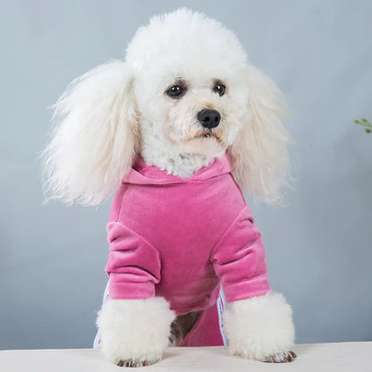 Wooly Wonder Jumper: Snug & Stylish Winter Armor! ❄️✨ + FREE Custom Pet Portrait Badge