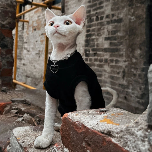 100% Cotton Hairless Cat Vest: Summer Sleeveless for Sphynx, Devon & Cornish