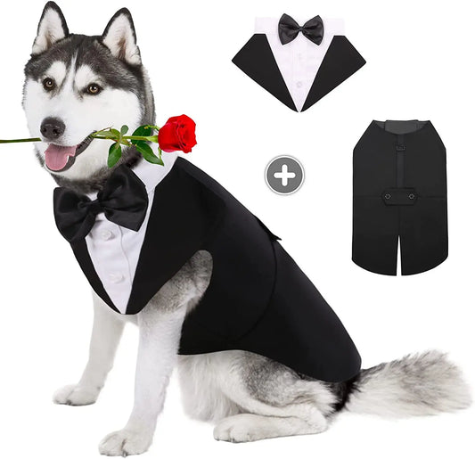 Pawtuxedo™: Red Carpet-Ready Formal Wear! 🖤🤵 + FREE Custom Portrait Badge!