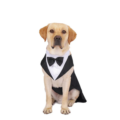 Pawtuxedo™: Red Carpet-Ready Formal Wear! 🖤🤵 + FREE Custom Portrait Badge!