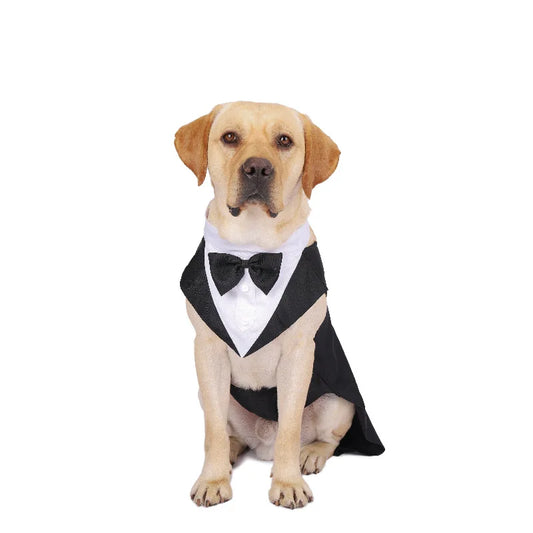 Pawtuxedo™: Red Carpet-Ready Formal Wear! 🖤🤵 + FREE Custom Portrait Badge!