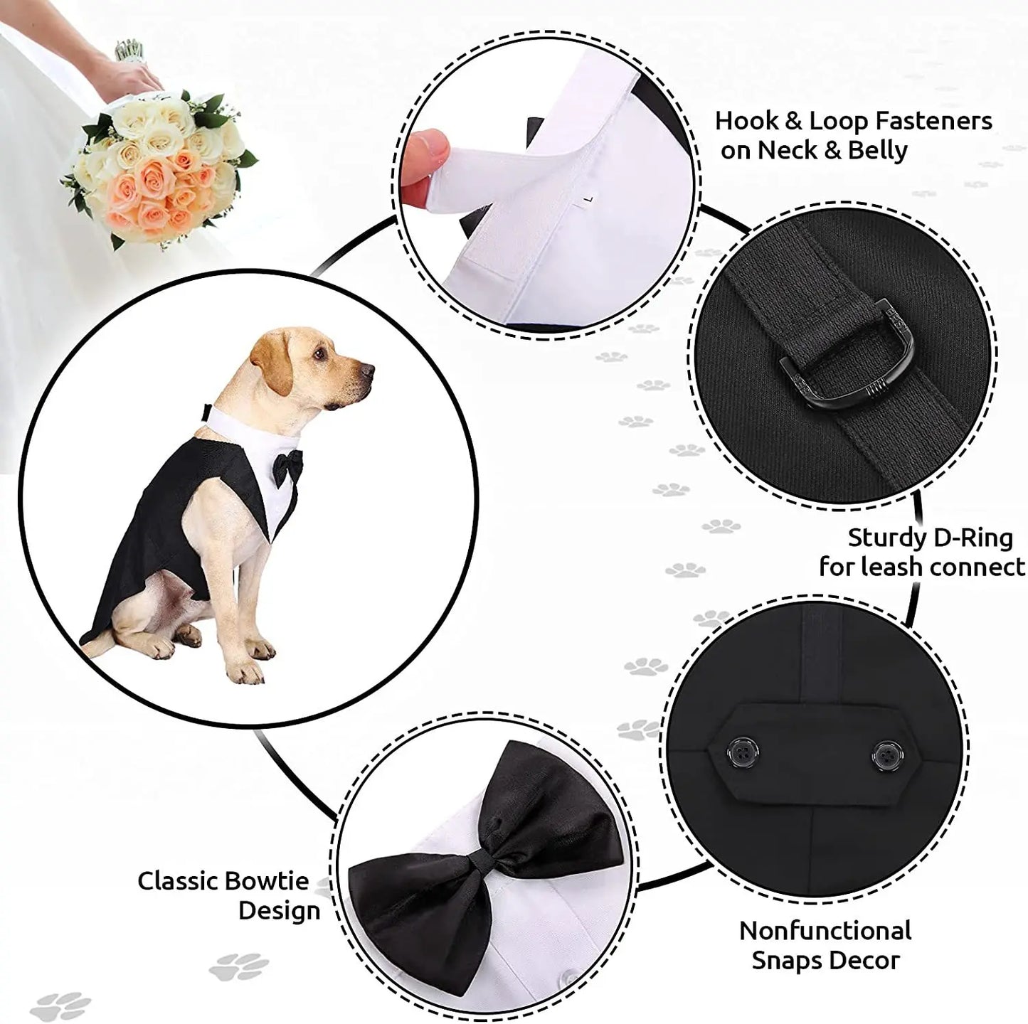 Pawtuxedo™: Red Carpet-Ready Formal Wear! 🖤🤵 + FREE Custom Portrait Badge!