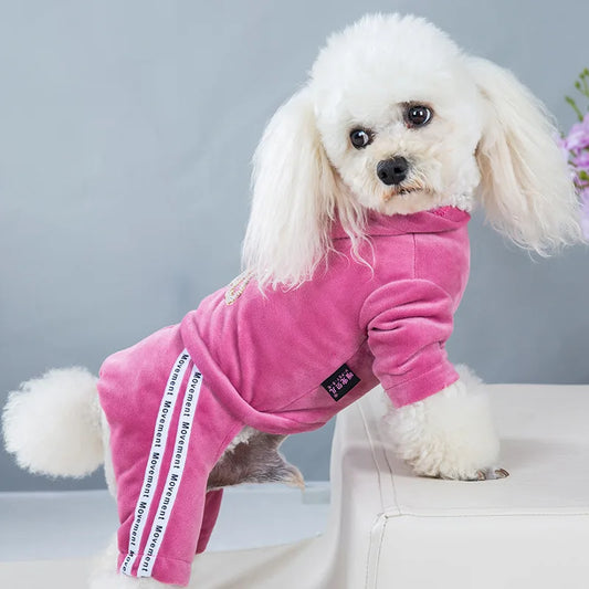 Wooly Wonder Jumper: Snug & Stylish Winter Armor! ❄️✨ + FREE Custom Pet Portrait Badge