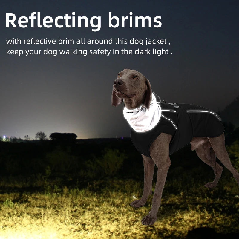 Guardian Luxe Jacket: Weatherproof Warmth for ALL Paws! 🌧️✨ + FREE Custom Pet Portrait Badge