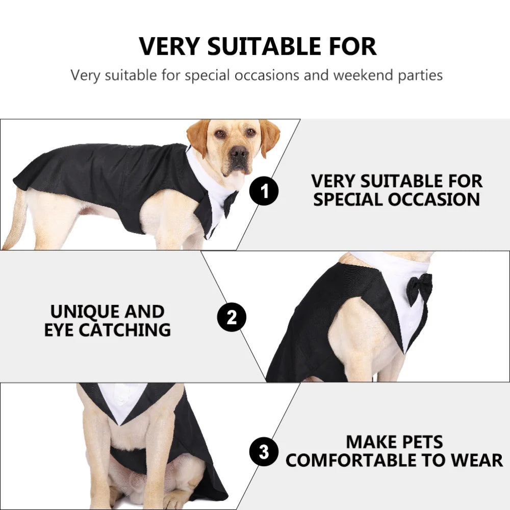 Pawtuxedo™: Red Carpet-Ready Formal Wear! 🖤🤵 + FREE Custom Portrait Badge!