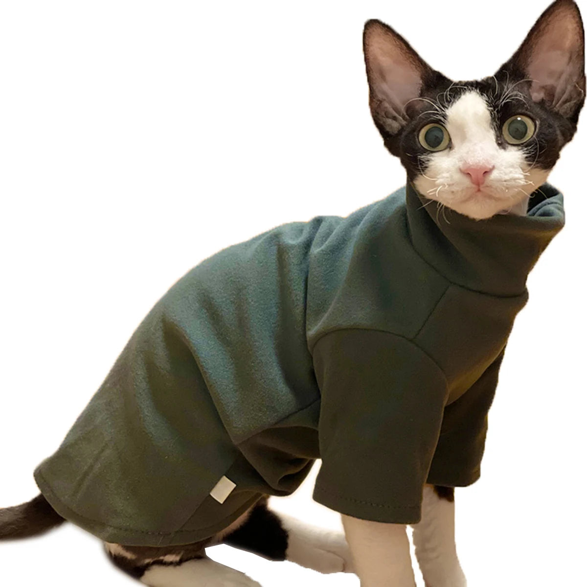 Hairless Cat Clothes – Soft Cuddly Vests for Sphynx, Devon & Kittens