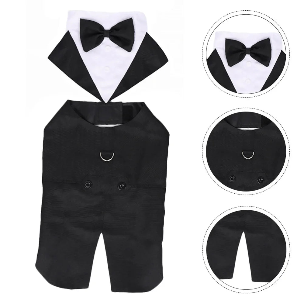Pawtuxedo™: Red Carpet-Ready Formal Wear! 🖤🤵 + FREE Custom Portrait Badge!