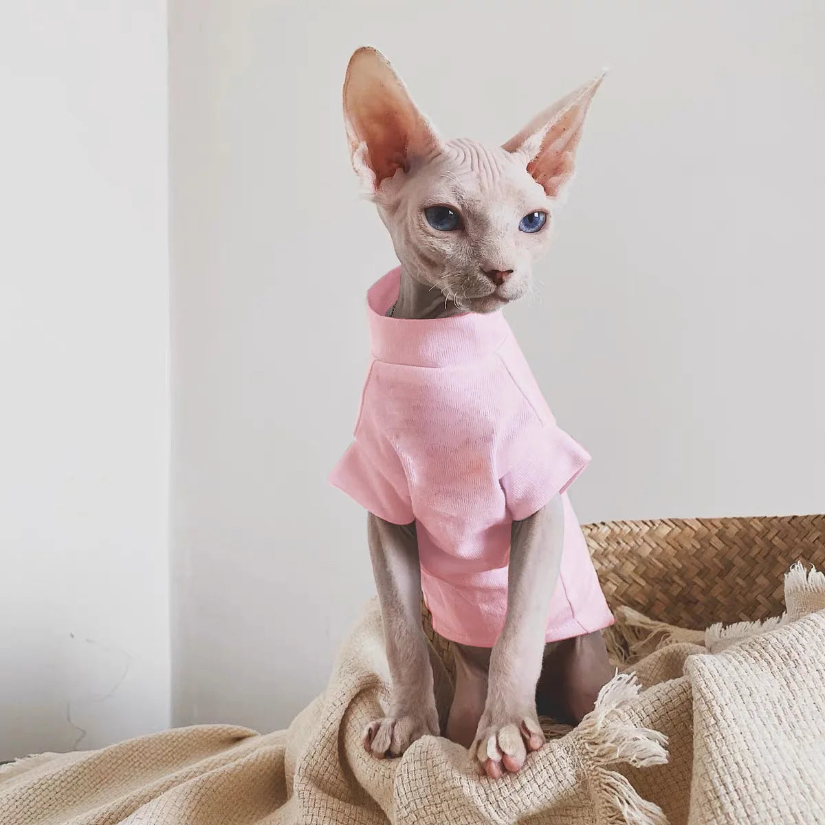 100% Cotton Hairless Cat Vest: Summer Sleeveless for Sphynx, Devon & Cornish