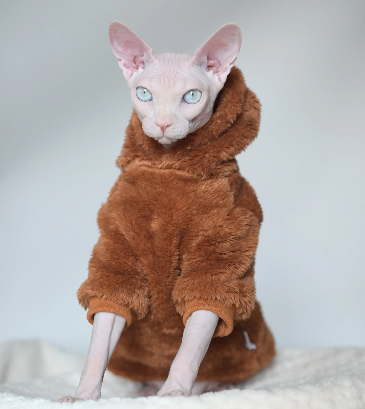 Hairless Cat Winter Clothes: Thick, Warm for Sphynx, Devon & Small Pets