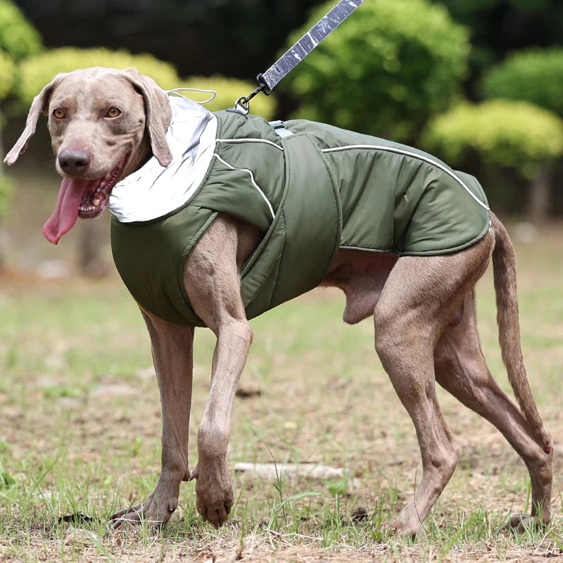 Guardian Luxe Jacket: Weatherproof Warmth for ALL Paws! 🌧️✨ + FREE Custom Pet Portrait Badge