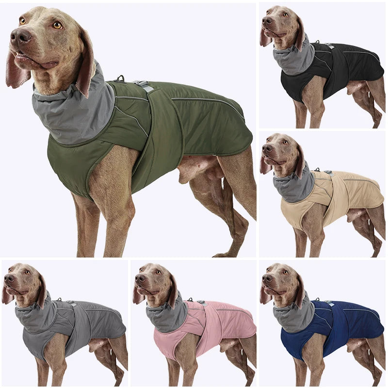 Guardian Luxe Jacket: Weatherproof Warmth for ALL Paws! 🌧️✨ + FREE Custom Pet Portrait Badge