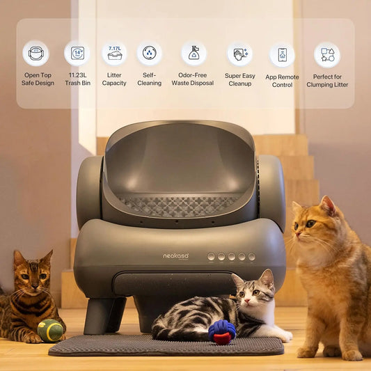 Self-Cleaning Cat Toilet – Above-Open, Large Capacity & Mat Included